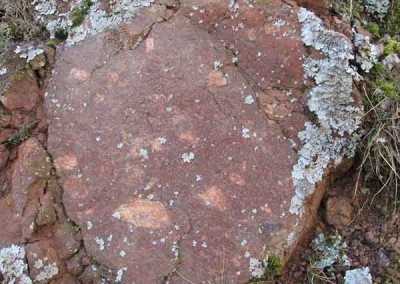 Filon de granite - Barre des Cevennes - Le filon de granite contient des cristaux de feldspaths rectangulaires blancs de taille centimétrique