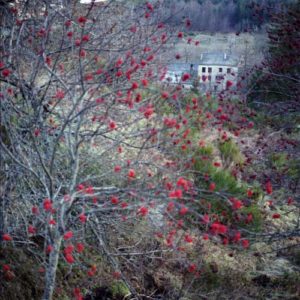 Un temps séparés, les maquis se retrouvent le 1er mai 1944 au château des Fons, vers l’Aigoual. Alors que la plupart des maquisards partent en expédition à Clermont-l’Hérault, le château, gardé par les antifascistes allemands, est attaqué le 12 mai 1944 par quatre cents à cinq cents soldats allemands.