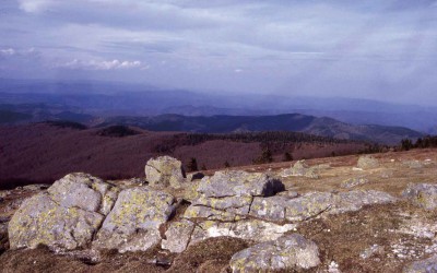 3 – Il y a 300 Ma…La montagne s’effondre et s’érode