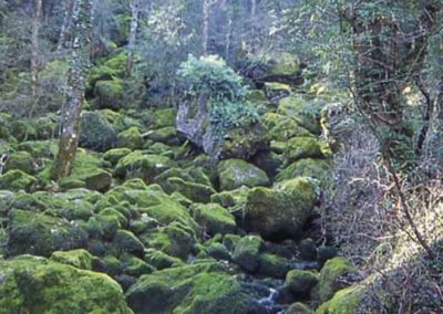La source du Pêcher à Florac est située à la limite entre le schiste et le calcaire, à Florac.