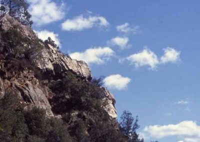 Quartzite - Vallée Borgne.