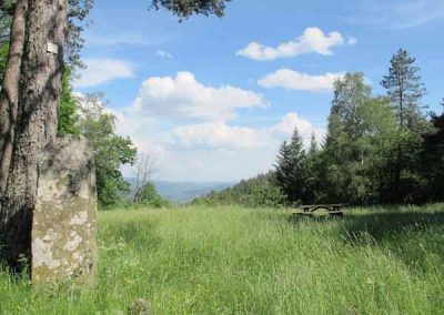 Plan de Fontmort - Saint-Martin-de-Lansuscle.