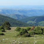 Vue du granite de l’Aigoual sur le Causse calcaire et les Cévennes schisteuses.