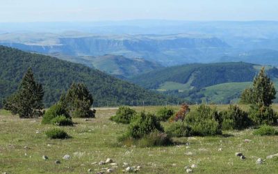 La route de l’histoire des roches et des paysages des Cévennes