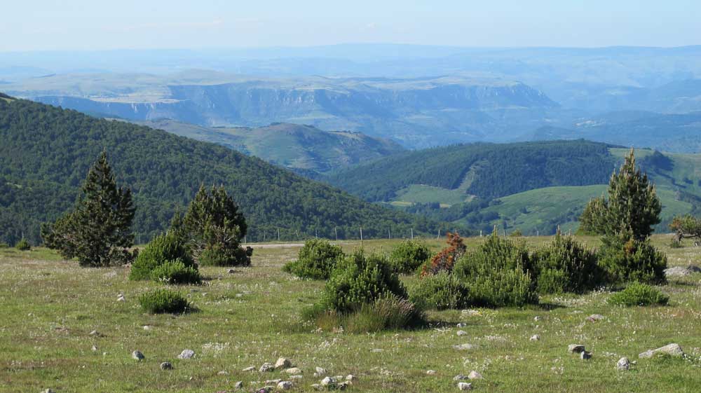 Vue du granite de l’Aigoual sur le Causse calcaire et les Cévennes schisteuses.