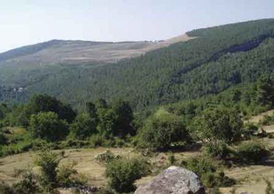 Paysage de Mines de charbon à ciel ouverte.