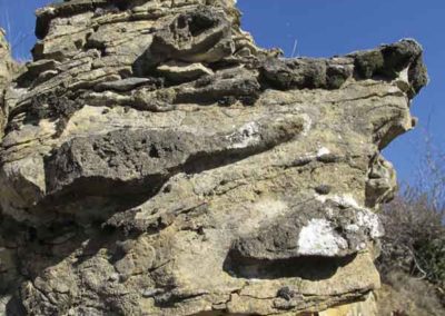 Les calcaires à chailles contiennent des nodules de quartz.