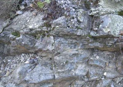 Les cornéennes de Genolhac sont des schistes recuits par la mise en place du granite chaud à proximité.