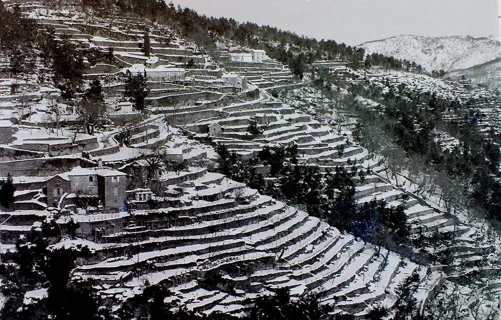 Les terrasses cévenoles