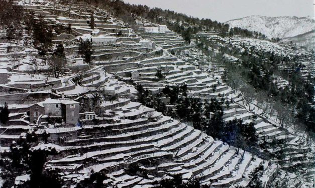 Les terrasses cévenoles