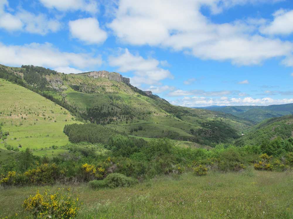 Le sentier de Fraissinet-de-Fourques