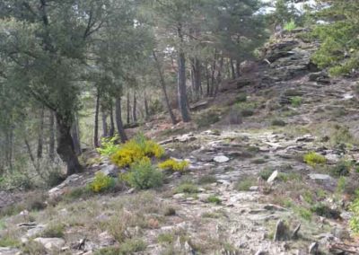 Les tumulus du sentier des rocs de Galta - Saint-Germain-de-Calberte.