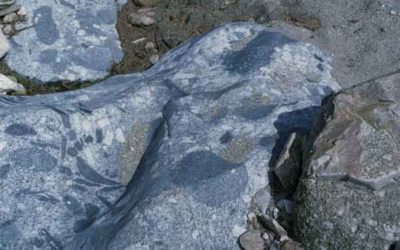 Géologie des Cévennes : 500 millions d’années d’histoire