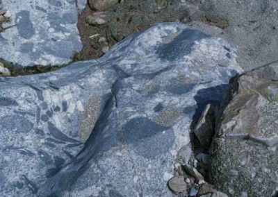Enclaves dans le granite de Saint-Jean-du-Gard