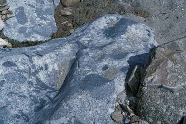 Enclaves dans le granite de Saint-Jean-du-Gard