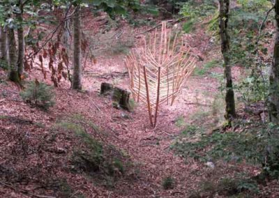 Bassin versant de Xavier Rèche