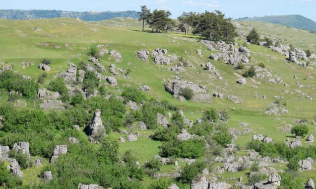 Nîmes-le-Vieux… Au cœur du karst