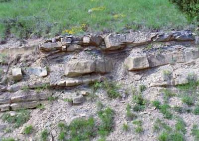 Les calcaires noduleux de l'Aalénien.