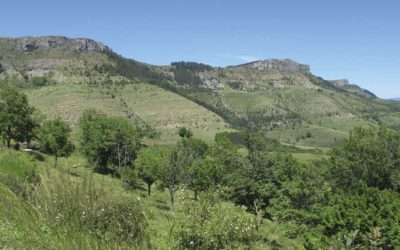 Stratigraphie du Causse…vers le col du Perjuret