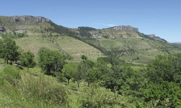 Stratigraphie du Causse…vers le col du Perjuret