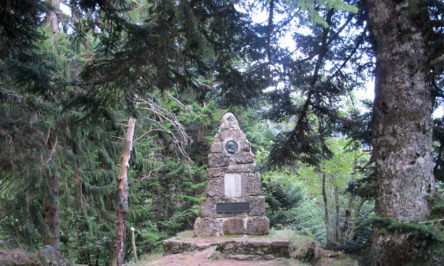 L’arboretum de l’Hort-de-Dieu