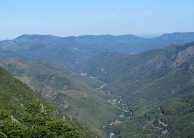 La vallée de l'Hérault