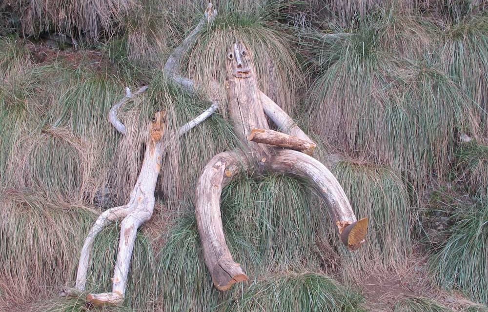 Les Balcons de l’Aigoual 2018 – Land art