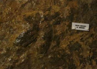 Contre-empreinte de dinosaures dans l'abîme de Bramabiau