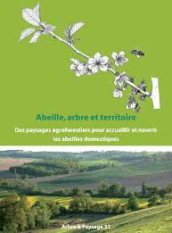 Abeille, arbre et territoire