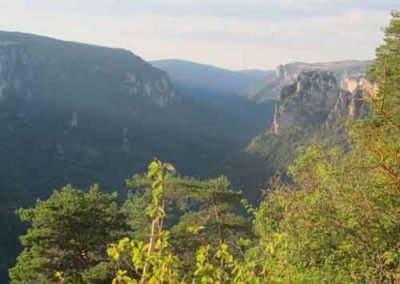 Les gorges du Tarn