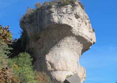 Dolomie en forme de vase