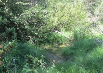 La mare de Cassagnes à la Bourgarie (causse Mejean)