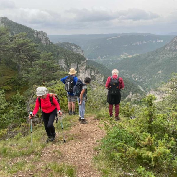 Vue sur les trois causses - Causse Méjean - Causse de Sauveterre - Causse noir (photo Florence Arnaud)