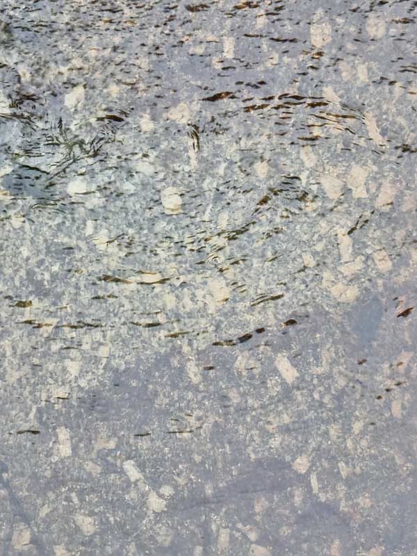 Fluidité magmatique dans le granite - Camprieu (photo Florence Arnaud)