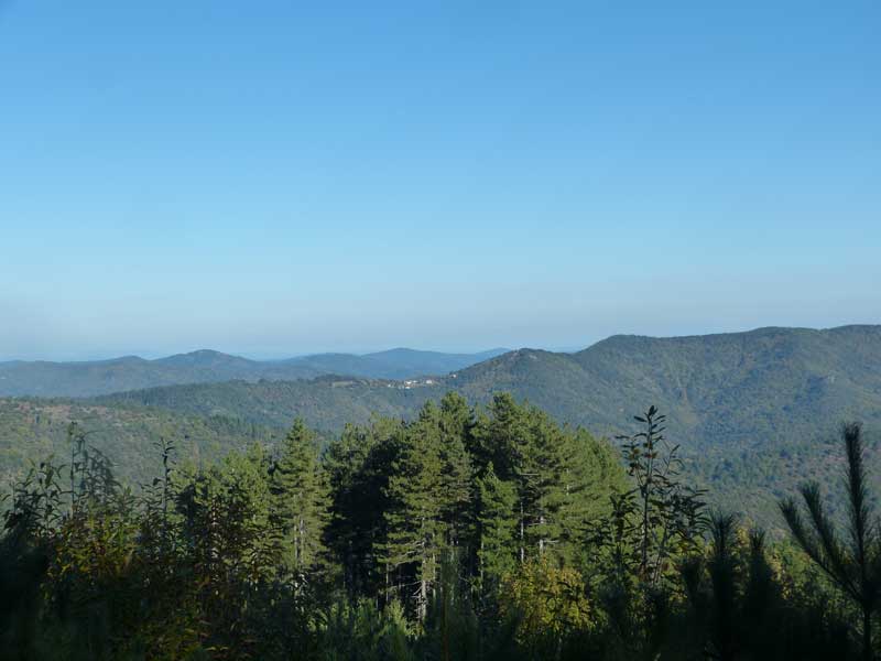 Panorama vers les Ayres - Forêt de Fontmort - Mont Mars (photo Georges Mattia)