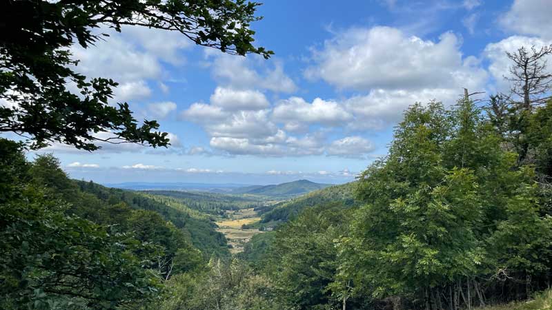 La vallée du Bonheur vue du col de la Serreyrède- Camprieu (photo Florence Arnaud)