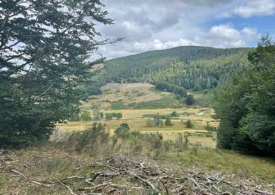 Le granite de la vallee du Bonheur à Camprieu