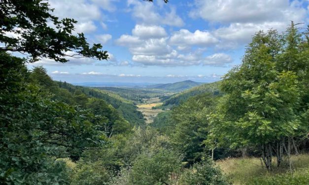 La vallée du Bonheur à Camprieu