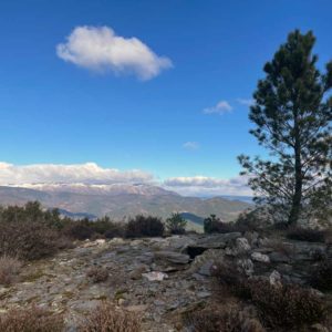 Randonnée sur les coffres néolithiques du Mortissou (Vallée du Galeizon, Saint-Martin-de-Boubaux)