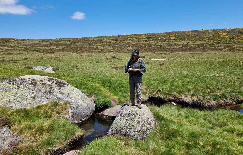 Glaciations quaternaires au mont Lozère… Aux sources du Tarn