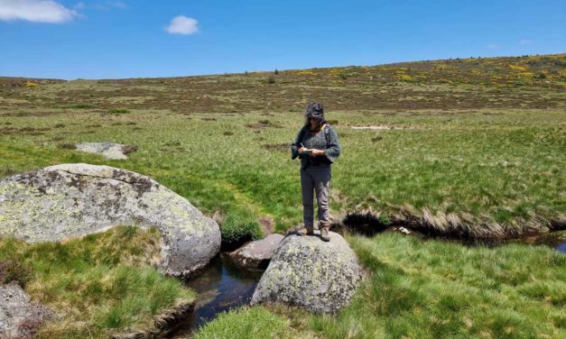 Glaciations quaternaires au mont Lozère… Aux sources du Tarn