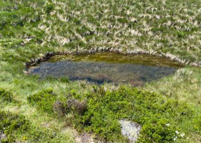 Aux sources du Tarn - Mont Lozère