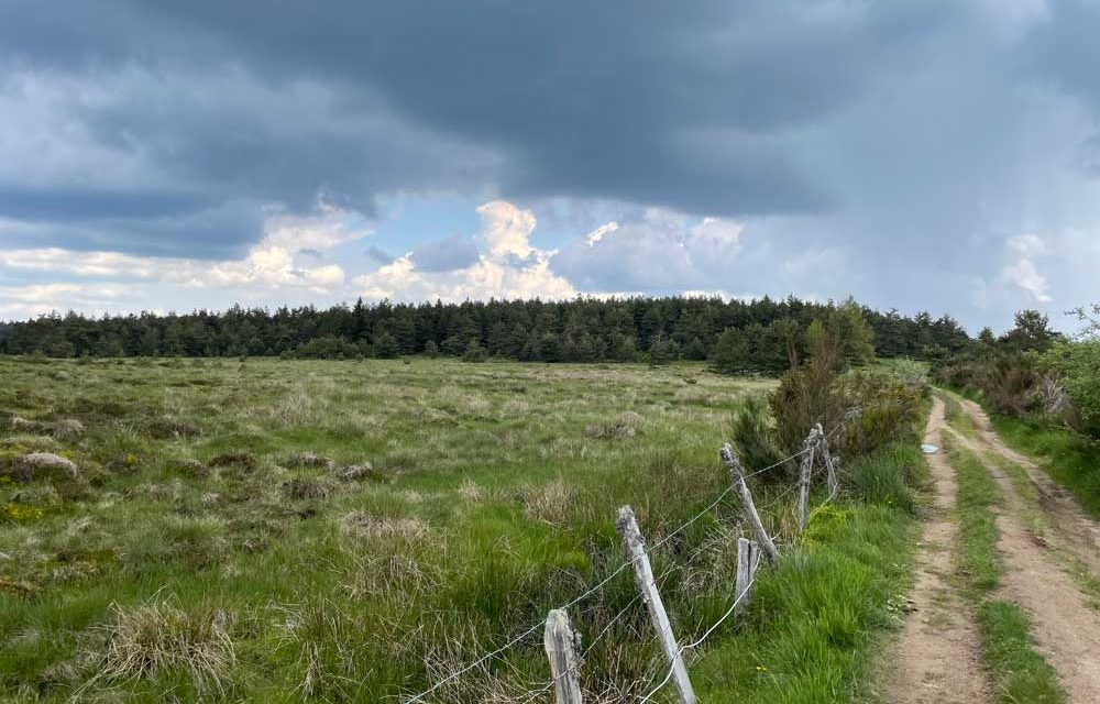 Évolution du paysage à la préhistoire… Tourbières du mont Lozère