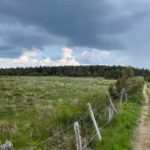 La tourbière des Nassettes sur le mont Lozère