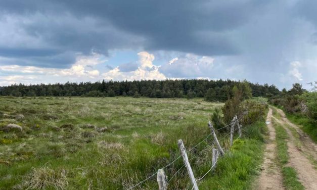 Évolution du paysage à la préhistoire… Tourbières du mont Lozère