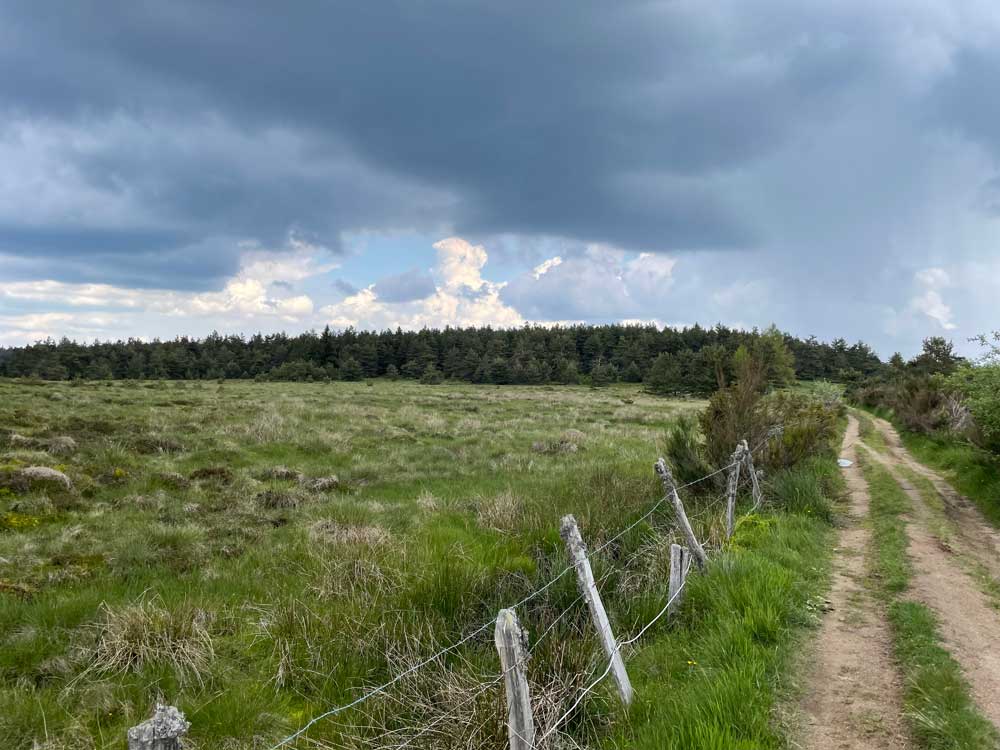 La tourbière des Nassettes sur le mont Lozère