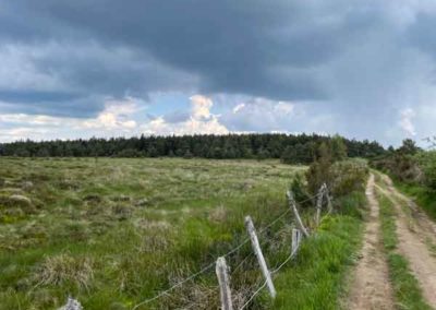 La tourbière des Nassettes sur le mont Lozère