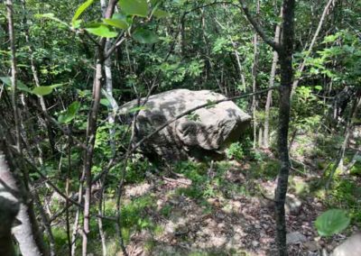 Bloc erratique de granite des Signaux - Vallée de Paillère