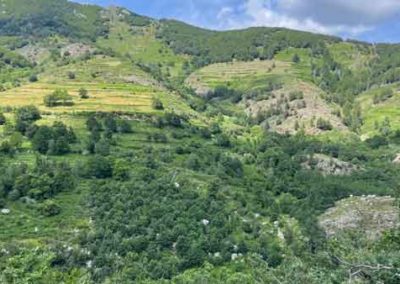 Verrou glaciaire à droite et blocs erratiques de granite sur schiste - Vallée de Paillère