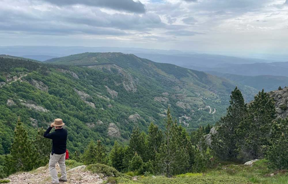 Un glacier au Quaternaire sur le mont Lozère … La vallée de Paillère